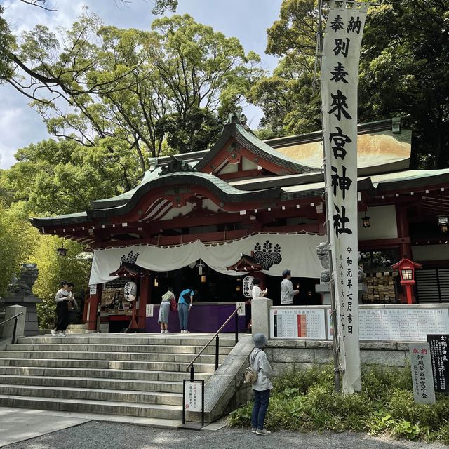 【熱海】熱海屈指のパワースポット来宮神社