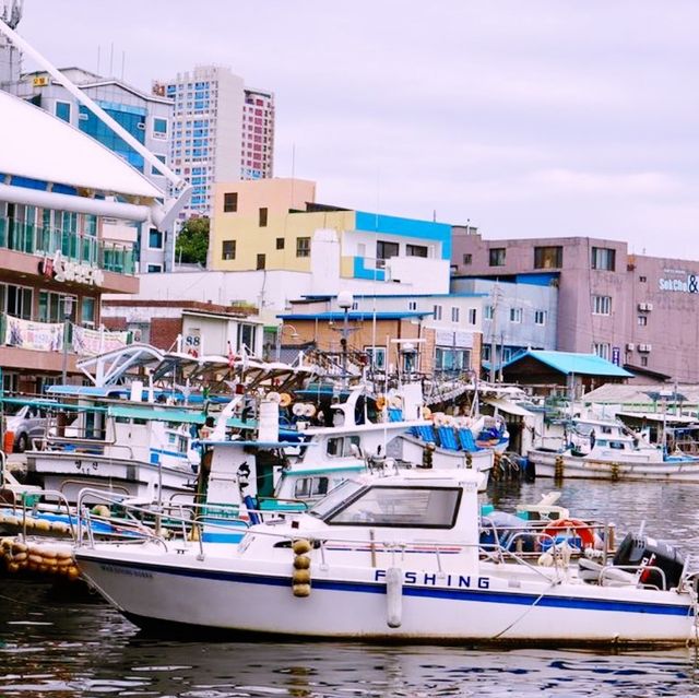 🌊 바닷가 앞 활기찬 전원의 풍경, 아바이 순대로 유명한 속초 아바이마을 