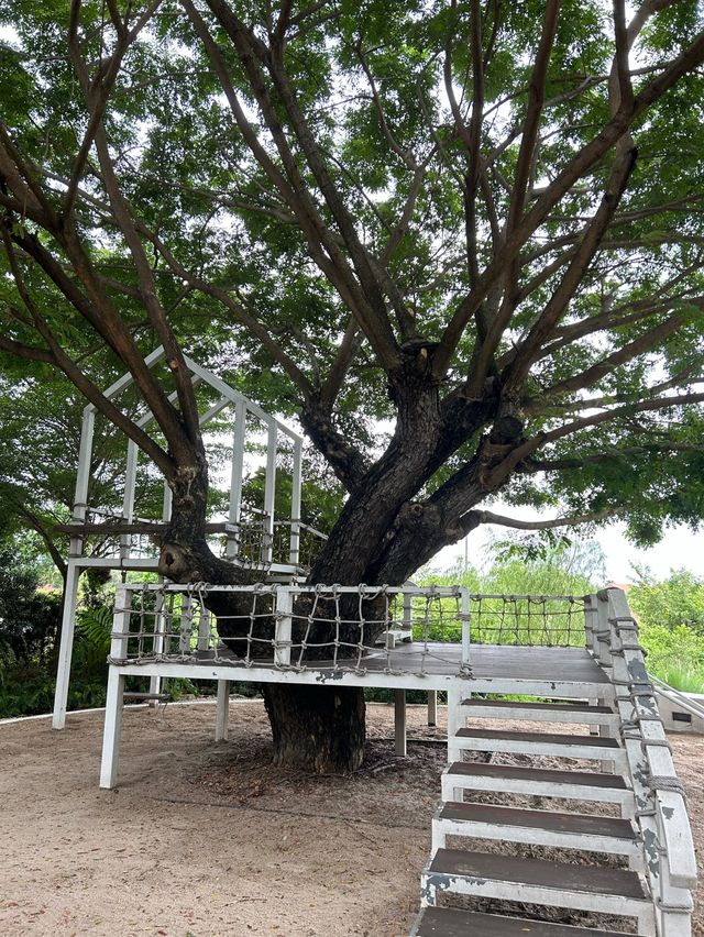 คาเฟ่สไตล์อังกฤษย่านปทุมธานี