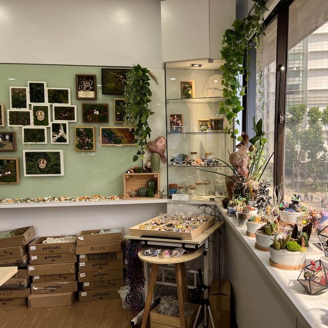 ☘️ Therapeutic Time with Terrarium in SG 🌿