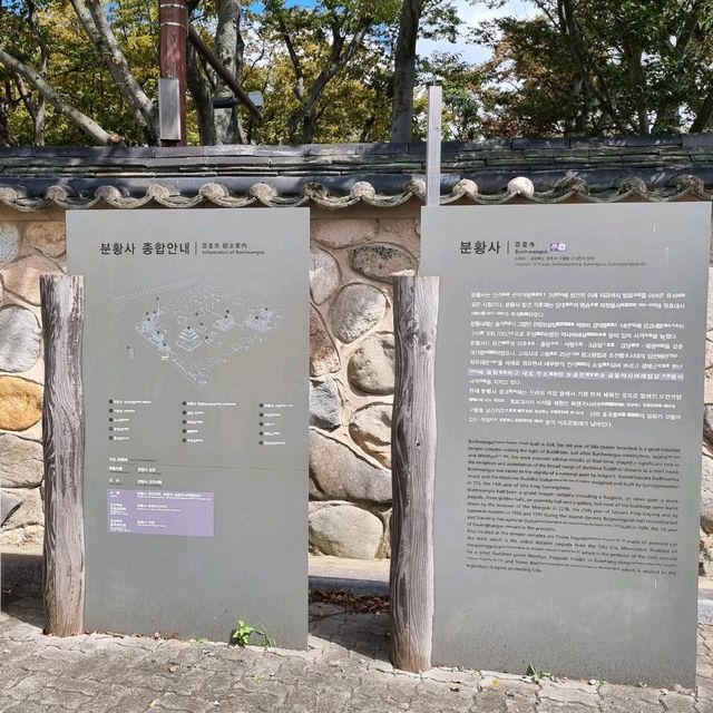 가장오래된 석탑도보고 코스모스,백일홍과 사진도 찍자