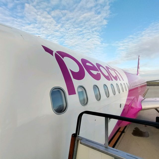 【大阪】ピーチで行く福岡日帰り旅行✈️✈️