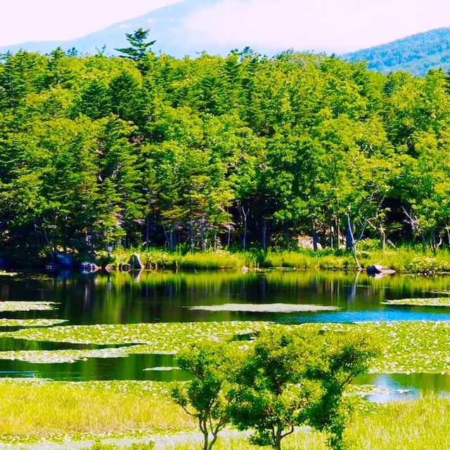 🏞️ 아름다운 자연과 식생이 보존되어 있는 일본 북쪽의 끝 시레토코 국립공원 