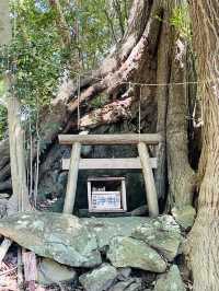 【静岡県／事任八幡宮】願いが意のままに叶うとする神社