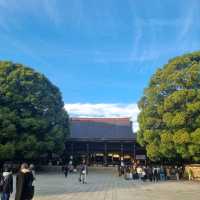 Meiji Shrine: Where Tradition Meets Serenity
