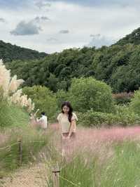 울산의 숨은 명소, 태화강국가정원💖