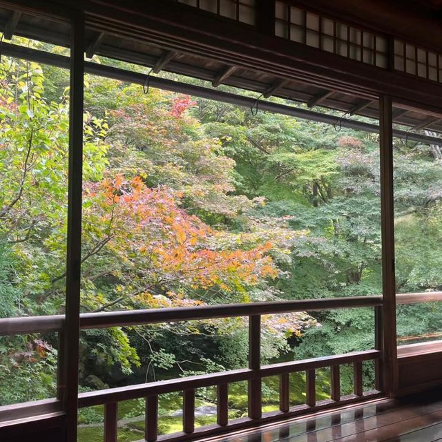 京都的瑠璃光院：穿越時空的彩色幻境 🏯🌸🌈 