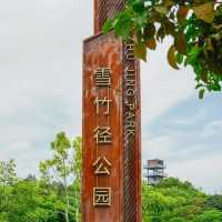 🌿❄️ 雪竹徑公園～綠植與遊樂🌿❄️🎠