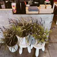 Prinze Melon Food & Coffee  ตลาดน้ำบางน้ำผึ้ง