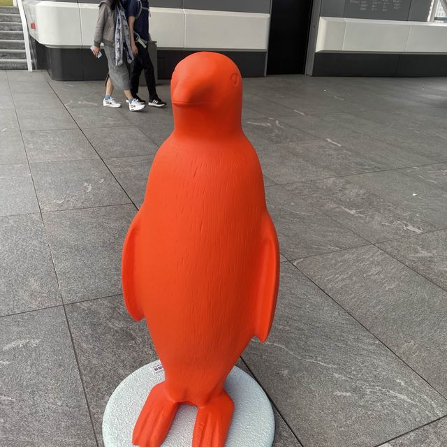 尖沙咀 萌呆企鵝小隊