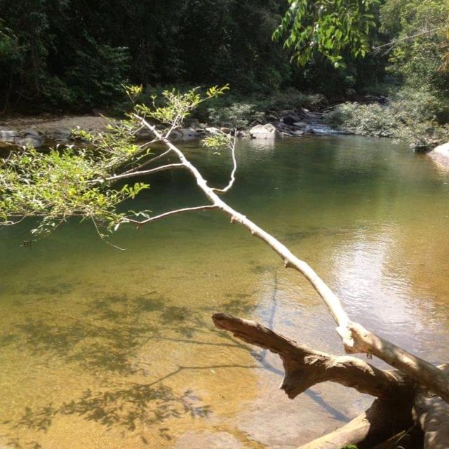 อุทยานแห่งชาติเขาสก🌿