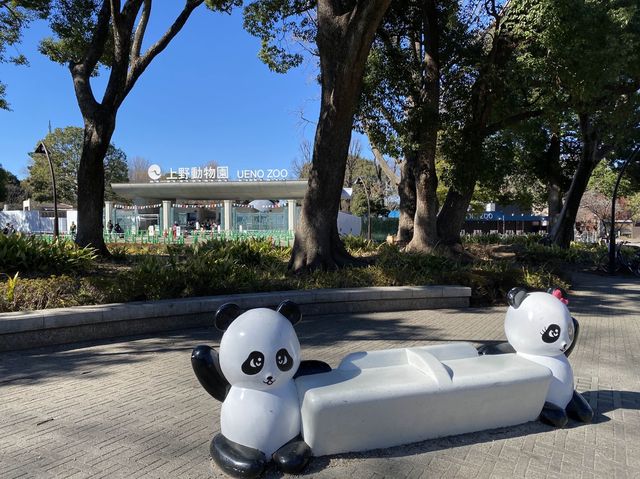 東京・上野。やっぱり『パンダ』の人気は絶大。日本で最初の動物園『上野動物園』