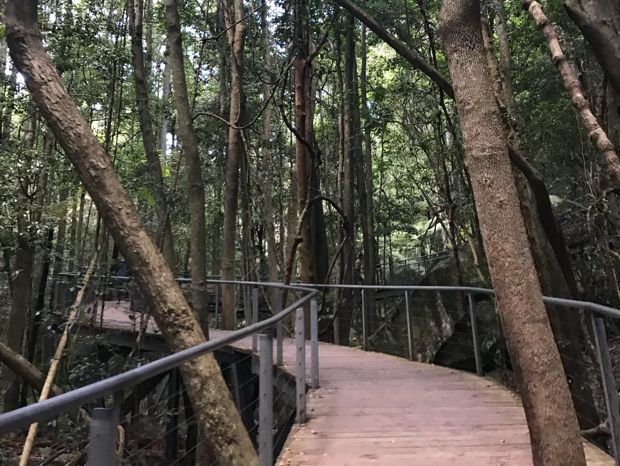 悉尼近郊旅遊景點 ☀️ 藍山國家公園Blue Mountains ☀️