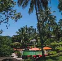 The Jungle Club ชมวิวเกาะสมุยแบบพาโนรามา