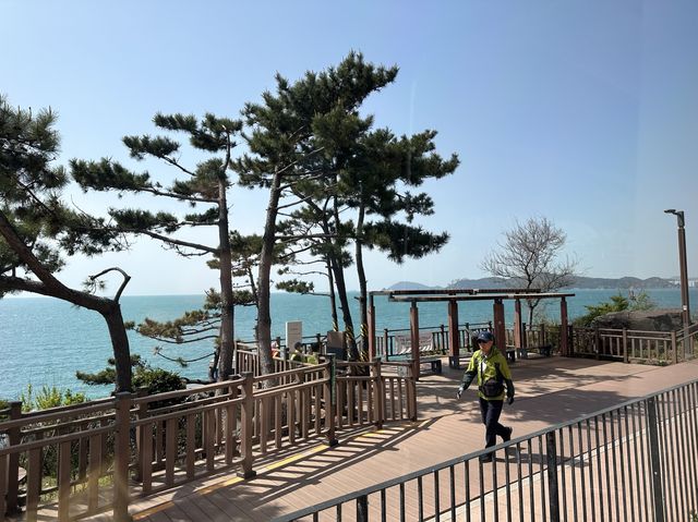 The best way to enjoy Busan’s beaches 🏝️