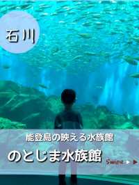 【石川・能登島】のとじま水族館