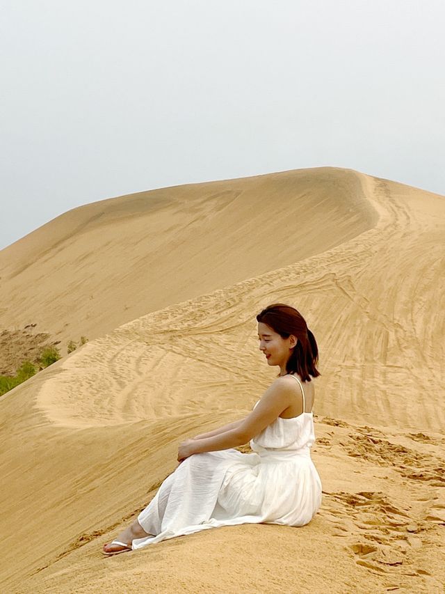 동남아에서 만나는 사막! 나트랑 무이네 화이트샌듄🏜️