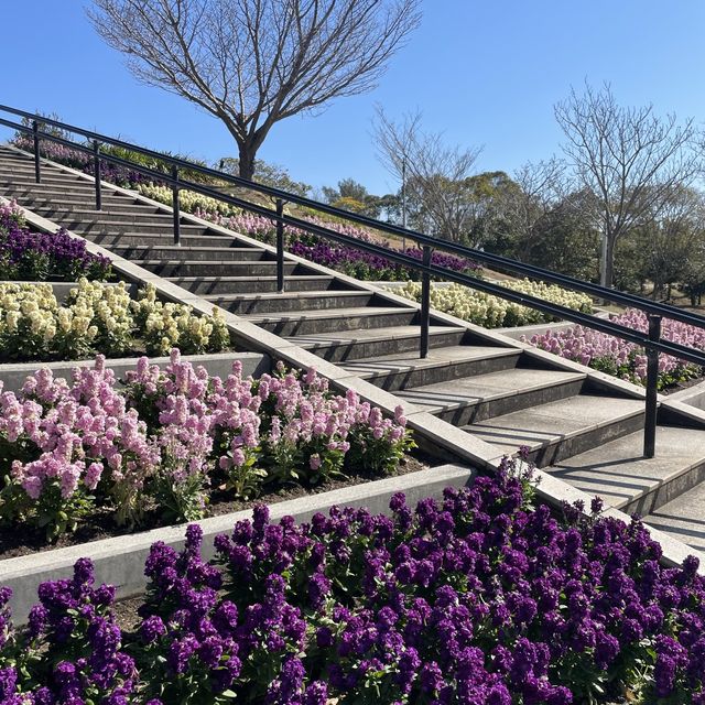【ペットとお出かけ】淡路島観光スポット！