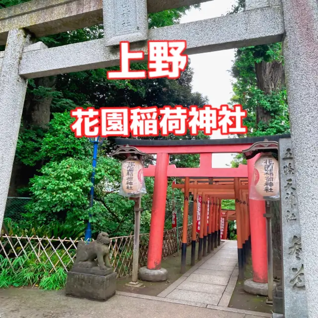 【上野】花園稲荷神社