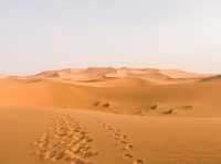 摩洛哥🇲🇦世界最大之撒哈拉沙漠🏜️(日)