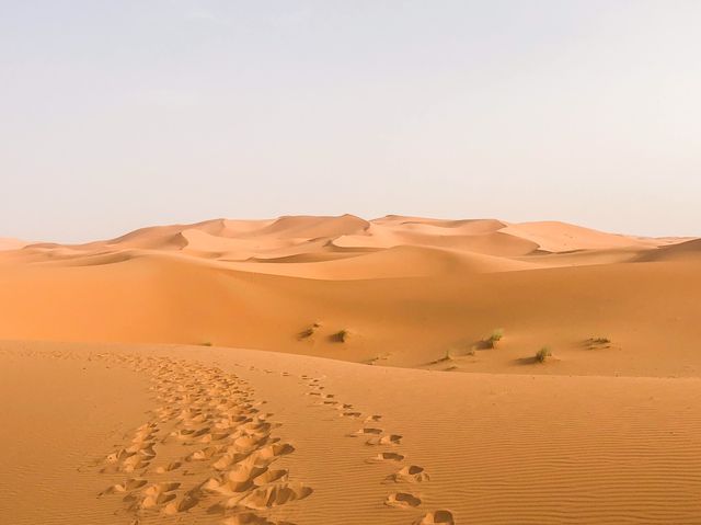摩洛哥🇲🇦世界最大之撒哈拉沙漠🏜️(日)