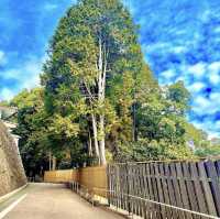 永保寺