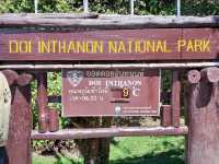 🍃 Nature Trail at Doi Inthanon Chiang Mai🚶‍♀️