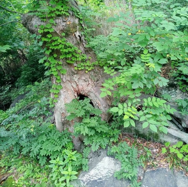 범어사에서 .나한전.독성각.산신각.지장전..천년고찰에 향기속으로..