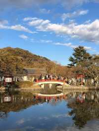 鎌倉鶴岡八幡宮😬鎌倉必訪歷史景點☺️超令市區景色🤣東京近郊推薦