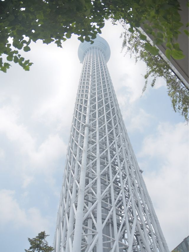 東京観光スポット東京スカイツリー