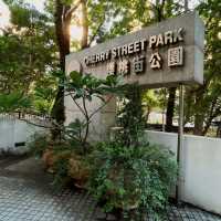 佔地廣闊嘅櫻桃街公園