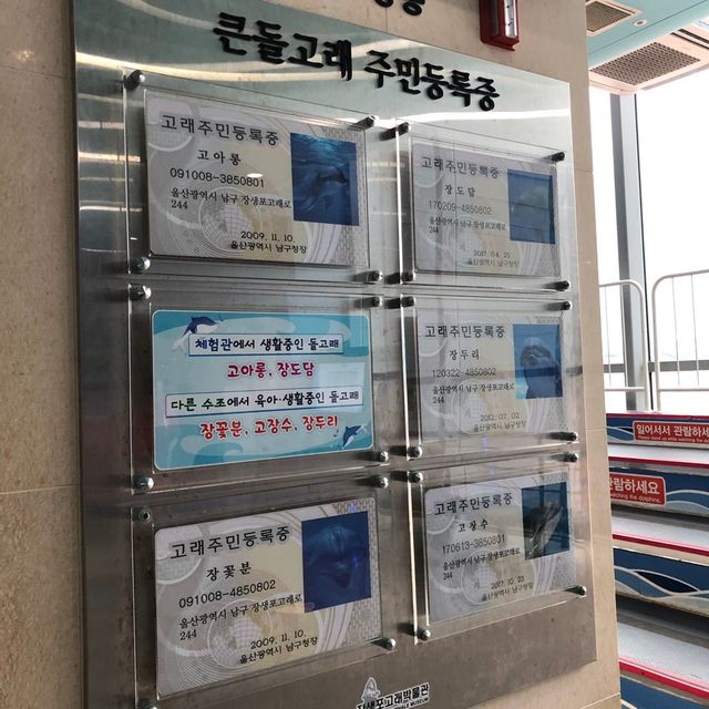 고래의 역사가 담긴, 울산 장생포 고래박물관