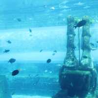 Atlantis The Palm Dubai โรงแรมบนเกาะที่ถมขึ้นมา