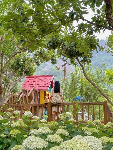 진주 월아산 숲속의 숨은 수국 스팟🍃💜🩵