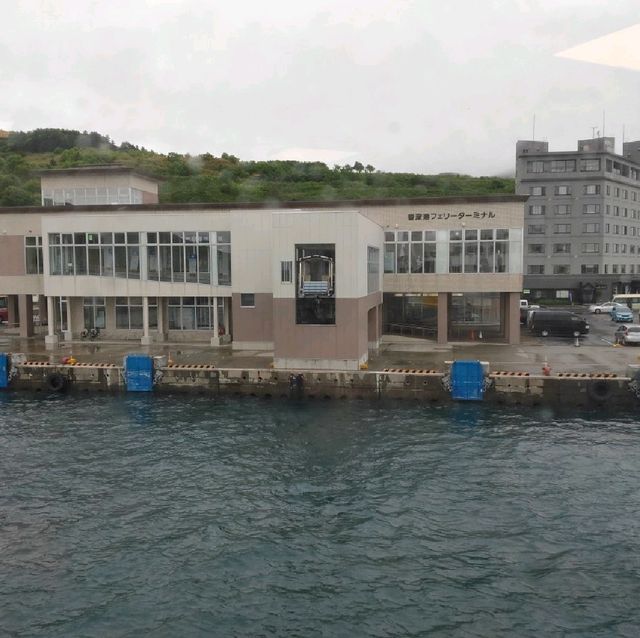 【礼文島】雨が降った時の北海道礼文島の楽しみ方☂