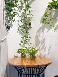 ร้านคาเฟ่น่าไปที่ The Cafe Apartment