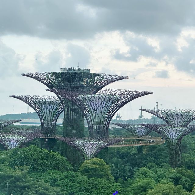 新加坡濱海灣花園壯觀Super Tree