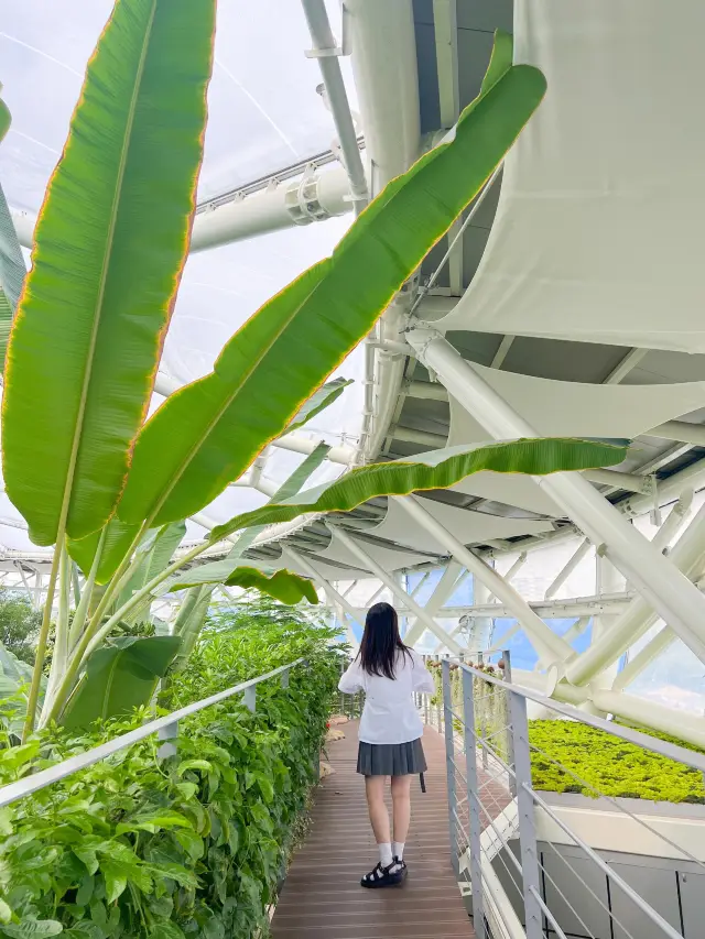 도심 속 숲속 공간🌱🌳💚