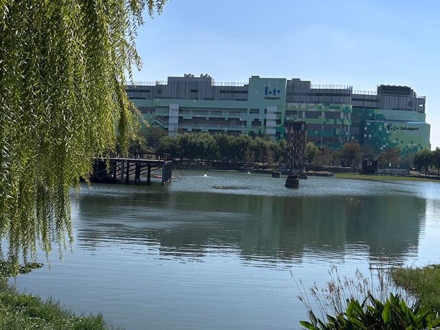 🌿 台中星泉湖：綠意盎然，柳樹倒影如畫！🏞️🌟