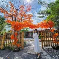 🎏🎏 คาเฟ่เปิดใหม่สไตล์ญี่ปุ่นกาญจนบุรี