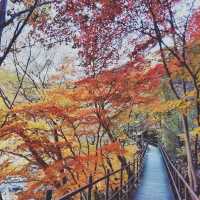 Most beautiful falling season at Bamsagol