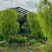 Bamboo Hills
