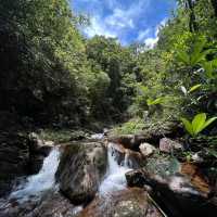 🌲🏞️ 白神山地～沐浴在溪流瀑布的清涼中！💦🌄🚶