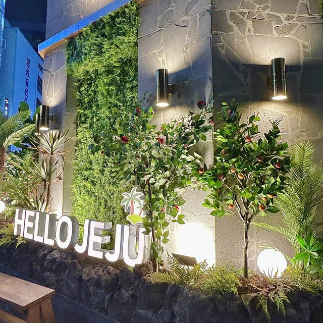 수원에서 제주감성, “제줏간”🍊