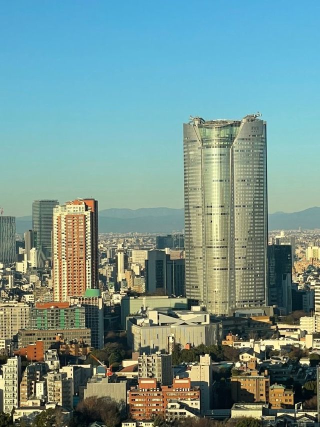 【東京都/東京タワー】初日の出