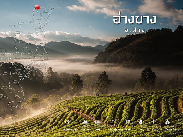 12 ลานกางเต็นท์ เชียงใหม่