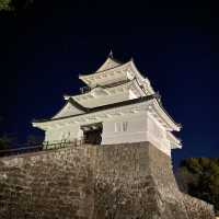 【小田原城】夜景も綺麗な歴史を感じる城郭
