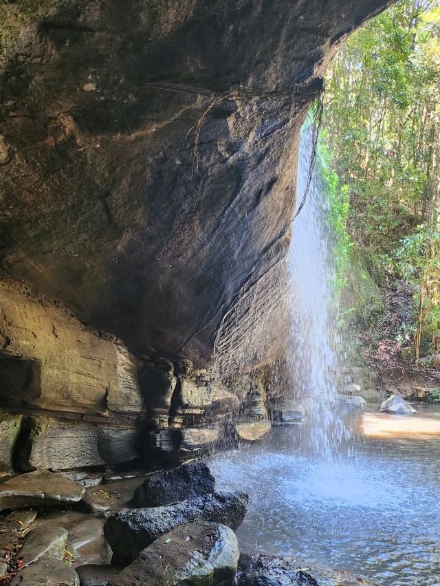 Hidden Gem in Queensland, Australia 🇦🇺