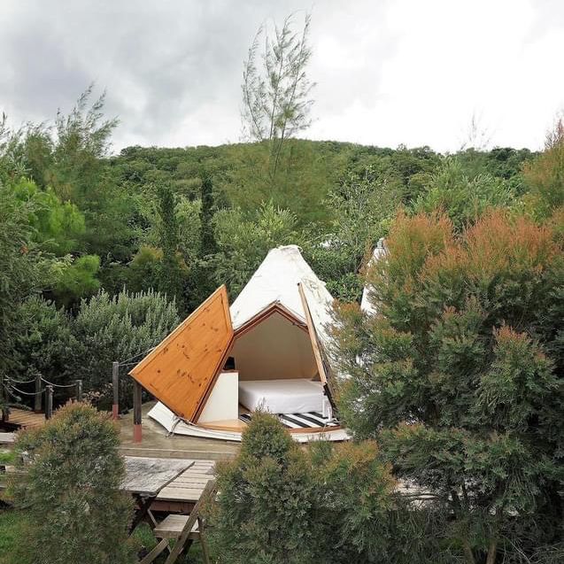  The Birder’s Lodge 