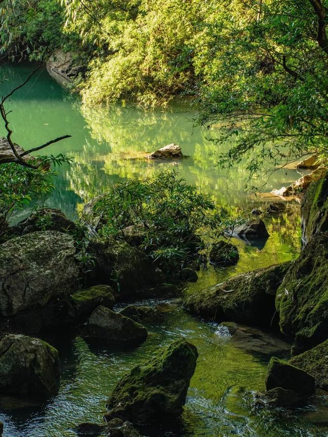 神農谷國家森林公園 🌳🏞️自然保護和生態旅遊的天堂 🦌🌿